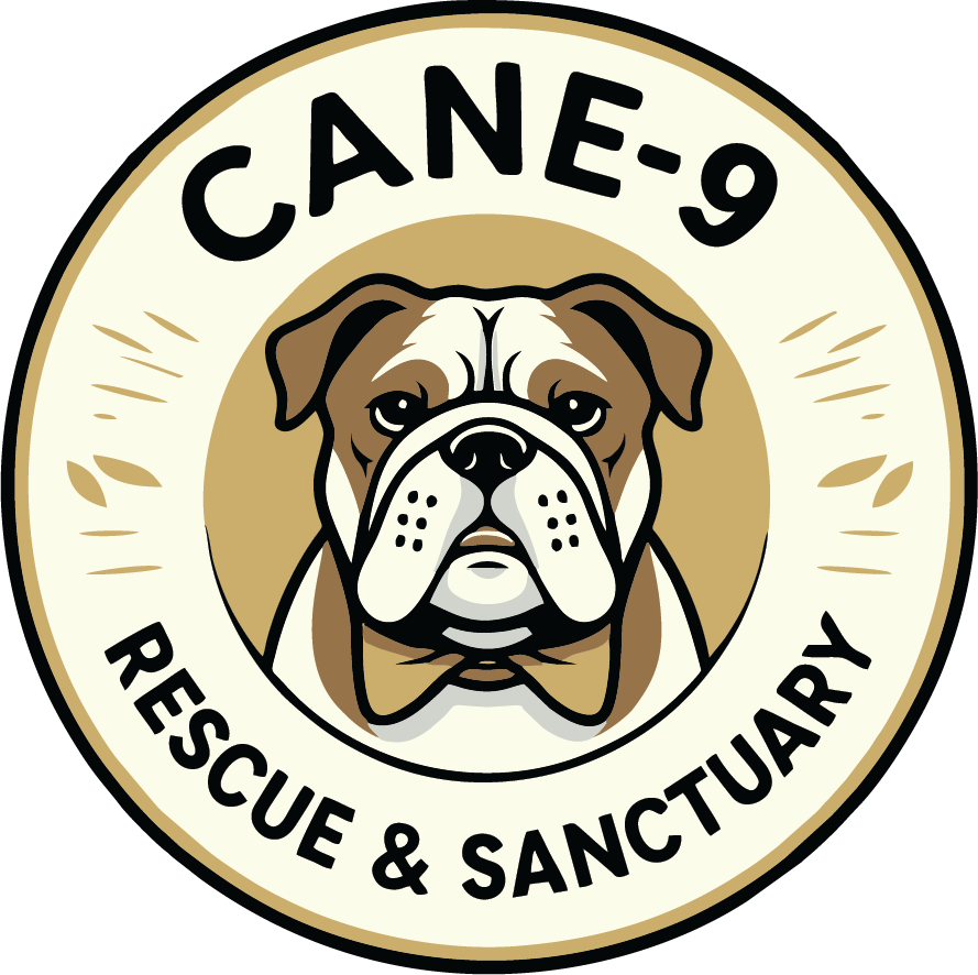 cane-9rescue.org